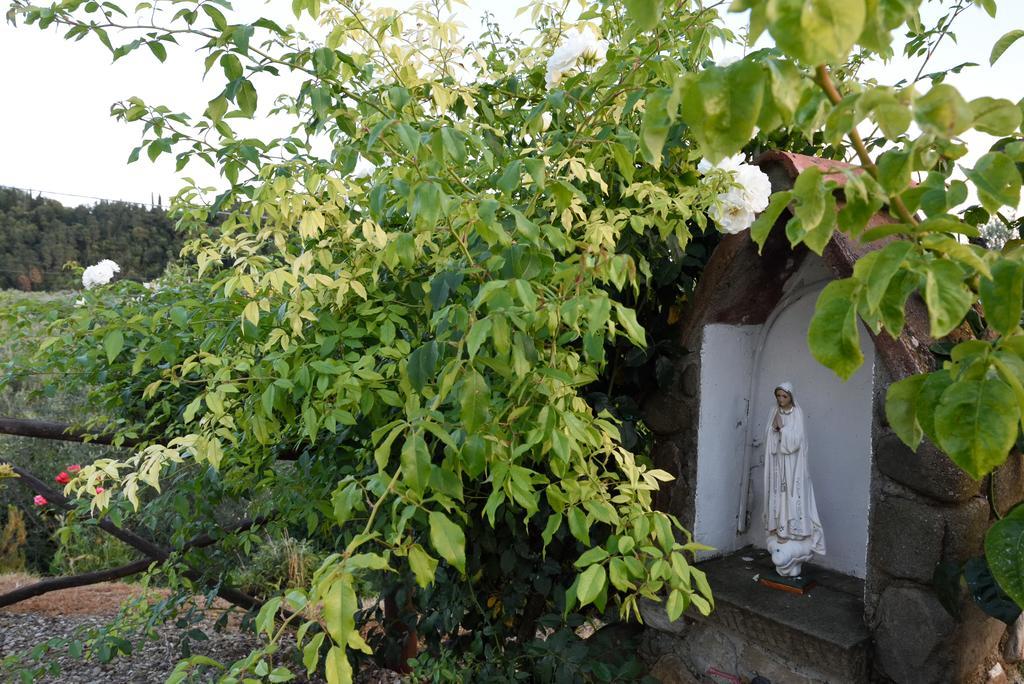 Agriturismo La Casuccia Castelfranco di Sopra المظهر الخارجي الصورة