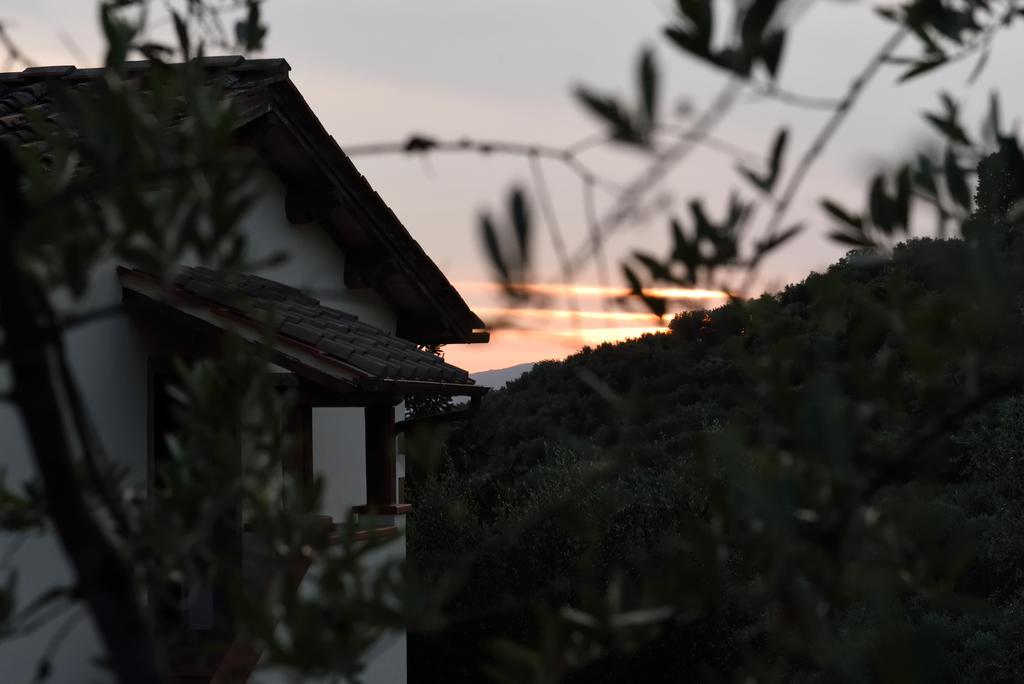 Agriturismo La Casuccia Castelfranco di Sopra المظهر الخارجي الصورة