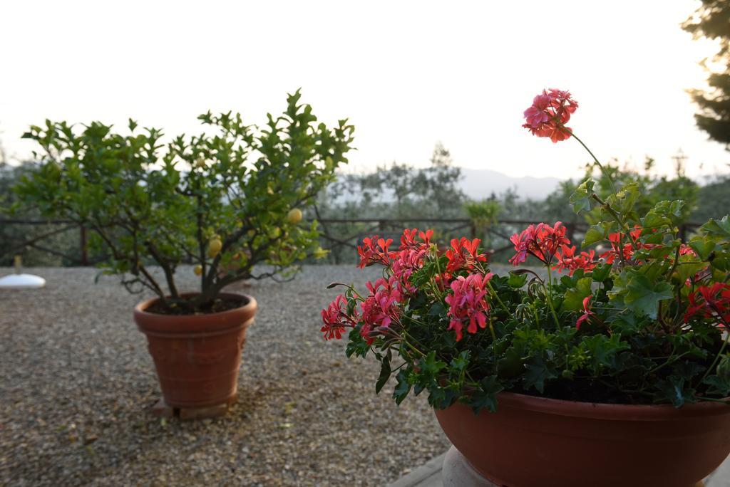 Agriturismo La Casuccia Castelfranco di Sopra المظهر الخارجي الصورة