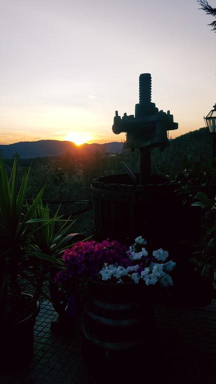 Agriturismo La Casuccia Castelfranco di Sopra المظهر الخارجي الصورة